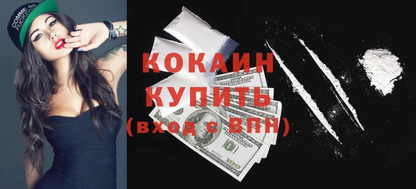 твердый Новозыбков