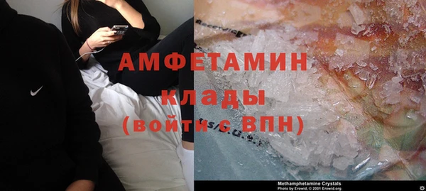 твердый Новозыбков