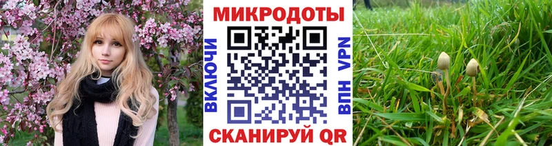 Галлюциногенные грибы Cubensis  blacksprut ссылка  Кизилюрт 