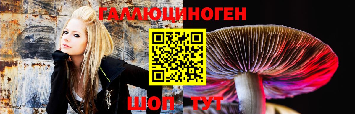 Галлюциногенные грибы ЛСД  Псилоцибиновые грибы Psilocybine cubensis  Кизилюрт 