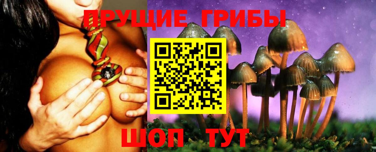 закладки  Псилоцибиновые грибы мицелий  Вход с VPN  Галлюциногенные грибы мицелий  Кизилюрт 