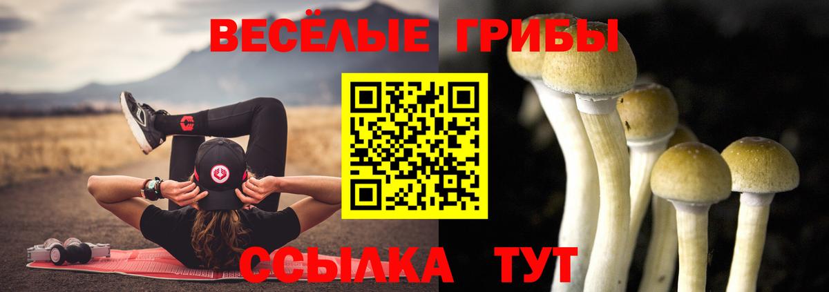 Галлюциногенные грибы GOLDEN TEACHER Кизилюрт